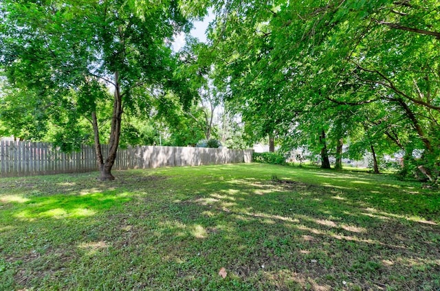 1437 E Pleasant View Dr, Des Moines, IA 50320 - view of yard