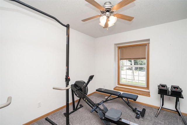 6217 Welker Ave, Des Moines, IA 50312 - workout room featuring ceiling fan, carpet flooring, and a textured ceiling