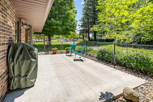 502 5th Ave SW, Altoona, IA 50009 - view of patio / terrace