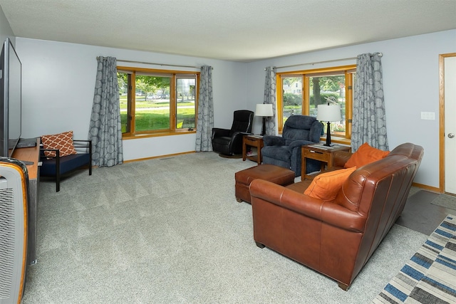 502 5th Ave SW, Altoona, IA 50009 - living room with baseboards