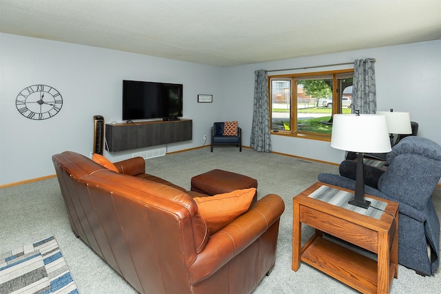 502 5th Ave SW, Altoona, IA 50009 - living area with light carpet