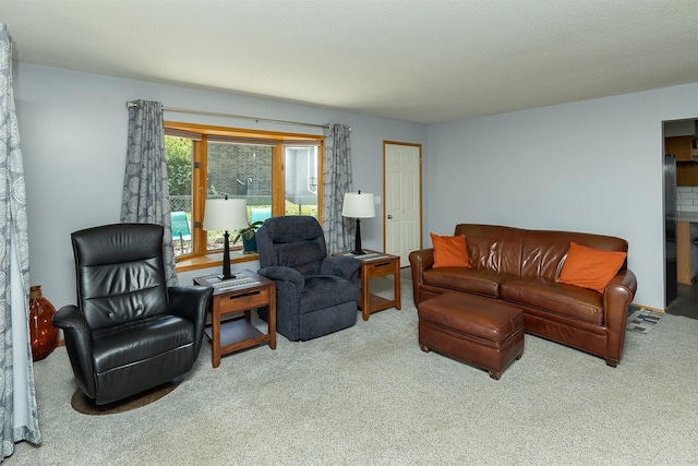 502 5th Ave SW, Altoona, IA 50009 - view of carpeted living area