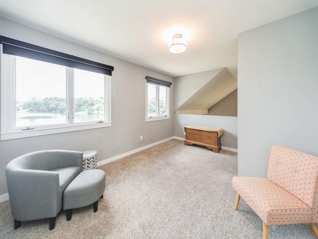 36508 Meadow Ln, Cumming, IA 50061 - living area featuring carpet flooring and baseboards