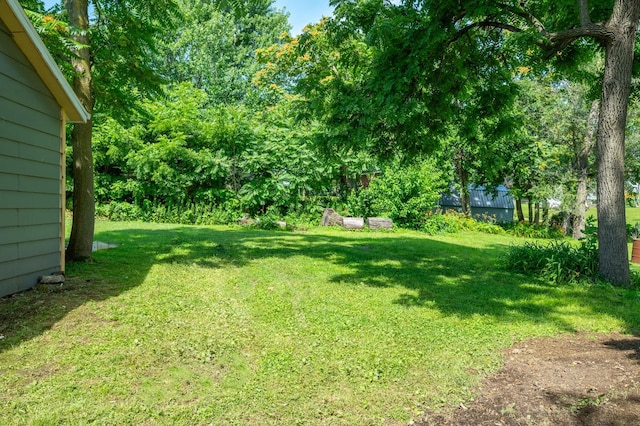 611 W 2nd St S, Newton, IA 50208 - view of green lawn