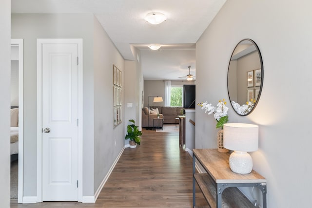4315 E 48th St, Des Moines, IA 50317 - hall with wood finished floors and baseboards