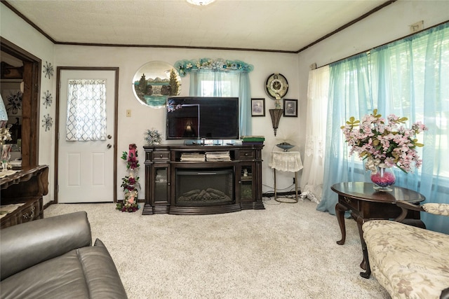 808 Bridge St, Redfield, IA 50233 - living room featuring crown molding and carpet