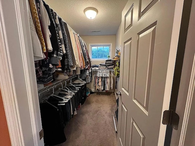 2279 Pheasant Ridge Ln, Ames, IA 50010 - spacious closet with carpet floors