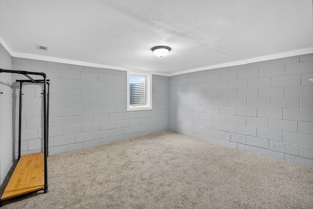 34 E Broadway St, Colfax, IA 50054 - below grade area featuring a textured ceiling, concrete block wall, and carpet flooring