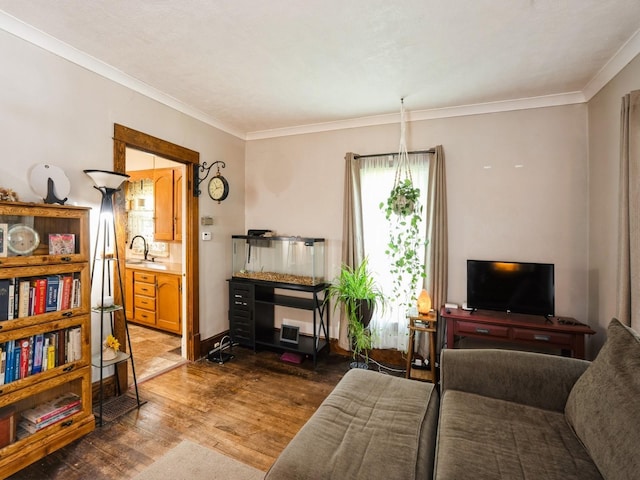 3917 11th St, Des Moines, IA 50313 - living room featuring wood finished floors and ornamental molding