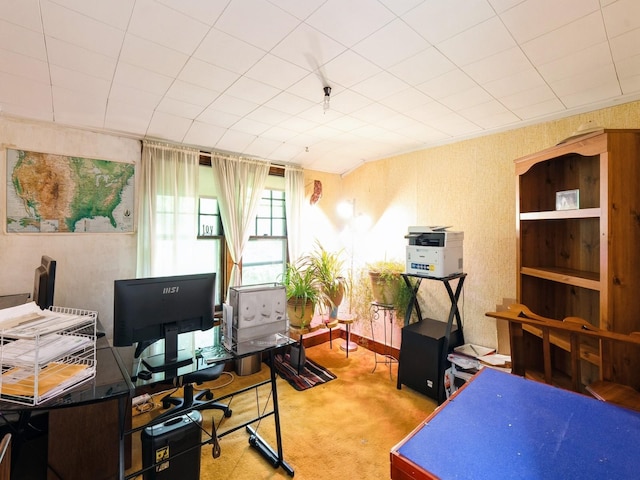 3917 11th St, Des Moines, IA 50313 - view of carpeted home office