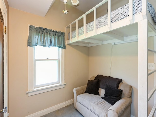4987 E 28th St N, Newton, IA 50208 - living area featuring carpet flooring and ceiling fan