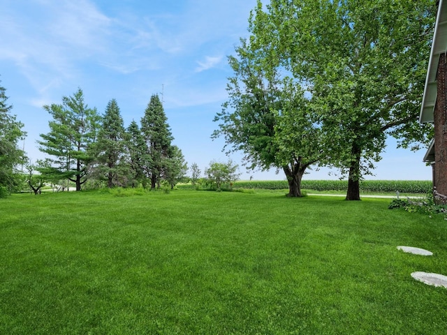 4987 E 28th St N, Newton, IA 50208 - view of grassy yard