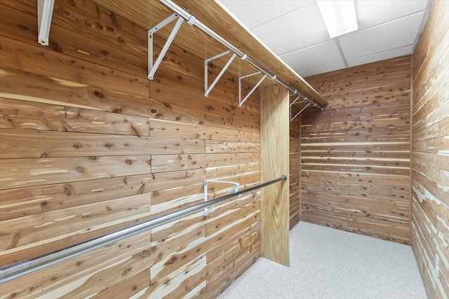 827 SW 46th St, Ankeny, IA 50023 - spacious closet with carpet flooring