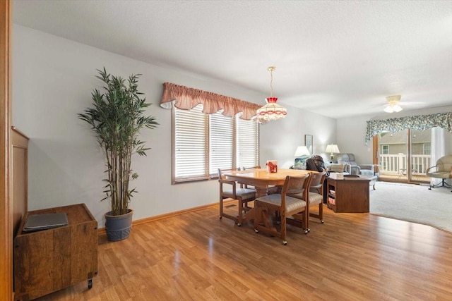 827 SW 46th St, Ankeny, IA 50023 - dining room featuring healthy amount of natural light, light wood finished floors, and ceiling fan