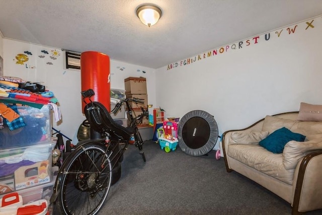 1525 Rapids St, Adel, IA 50003 - game room featuring carpet floors and a textured ceiling
