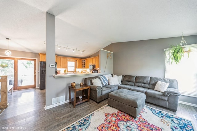 500 NW Valley View Dr, Grimes, IA 50111 - living room featuring wood finished floors, track lighting, and vaulted ceiling