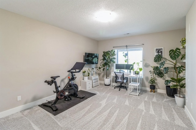 905 NE Badger Ln, Waukee, IA 50263 - office area featuring a textured ceiling and carpet floors