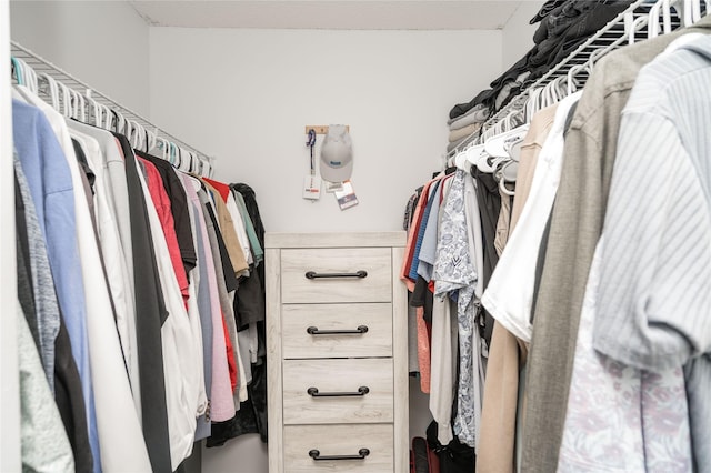 150 S Prairie View Dr Unit 601, West Des Moines, IA 50266 - view of walk in closet