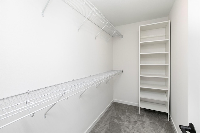 427 Spring Crest Ln, Waukee, IA 50263 - walk in closet featuring carpet floors
