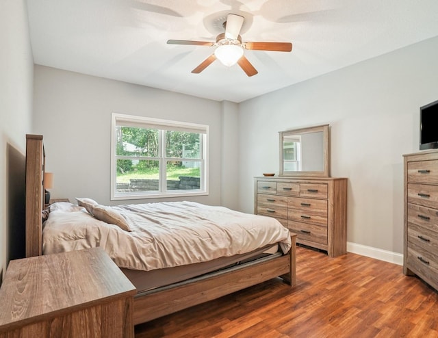 929 Sampson Dr, Nevada, IA 50201 - bedroom featuring wood finished floors and ceiling fan