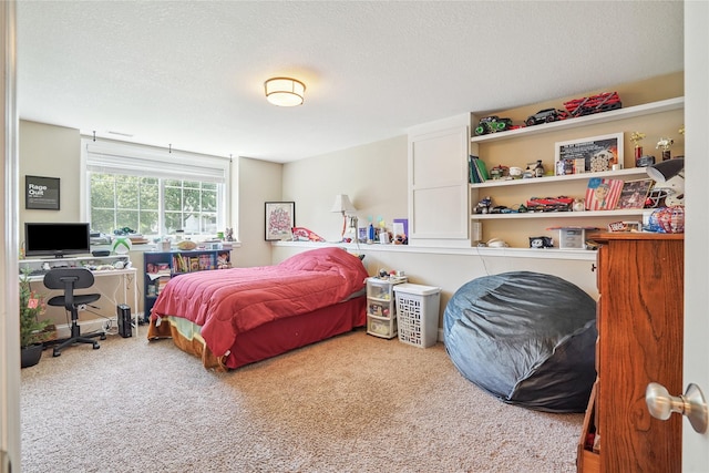 929 Sampson Dr, Nevada, IA 50201 - carpeted bedroom featuring a desk