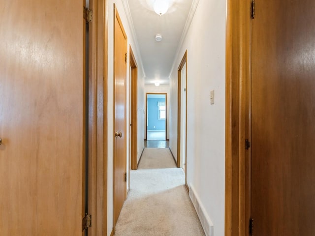 2117 Prospect Ave, West Des Moines, IA 50265 - photo 20