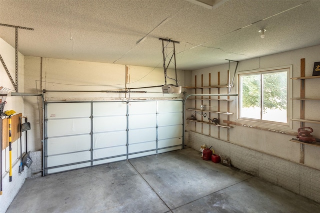 4624 Tamara Ln, West Des Moines, IA 50265 - garage with a garage door opener