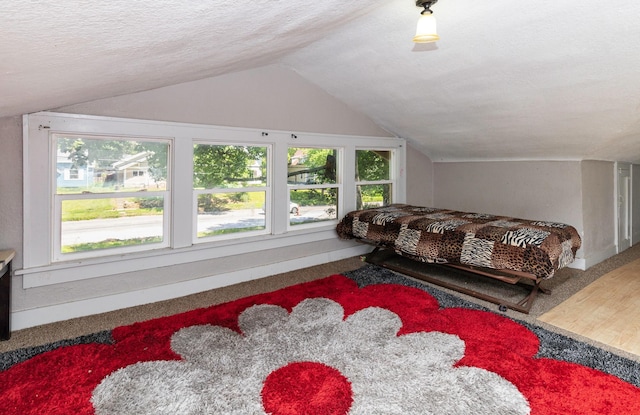 1118 Euclid Ave, Des Moines, IA 50313 - carpeted bedroom with vaulted ceiling and a textured ceiling