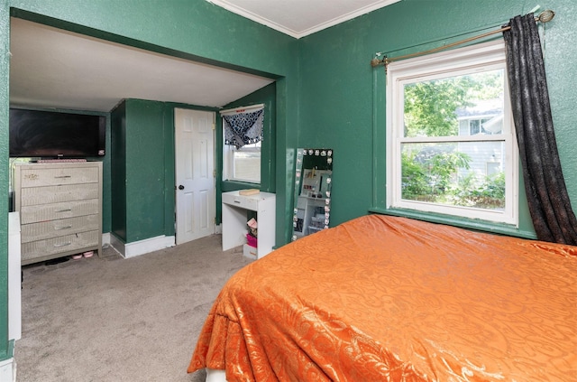 1118 Euclid Ave, Des Moines, IA 50313 - bedroom featuring crown molding and carpet flooring