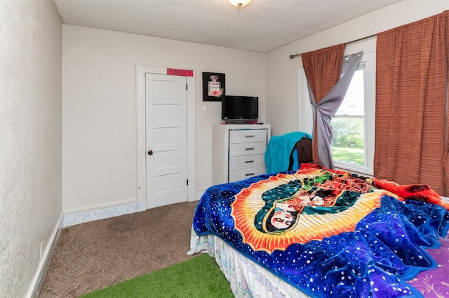 1118 Euclid Ave, Des Moines, IA 50313 - bedroom with carpet flooring, a textured wall, and a textured ceiling