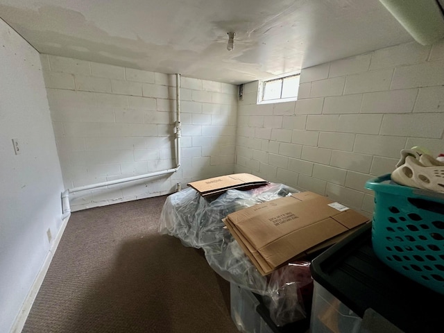 3923 15th St, Des Moines, IA 50313 - basement with carpet flooring and concrete block wall