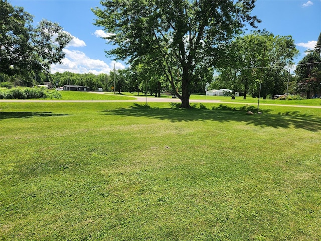 503 Main St, Harvey, IA 50119 - view of grassy yard featuring view of wooded area