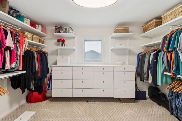 7016 Harbour Dr, Johnston, IA 50131 - spacious closet featuring carpet floors