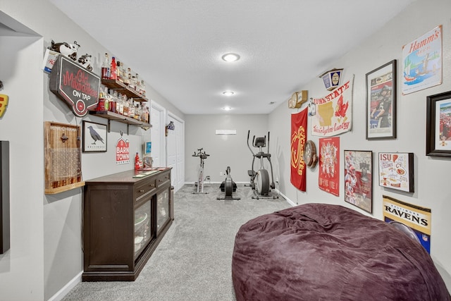 4808 Dewey Pl, Johnston, IA 50131 - workout area featuring carpet, a textured ceiling, and a dry bar
