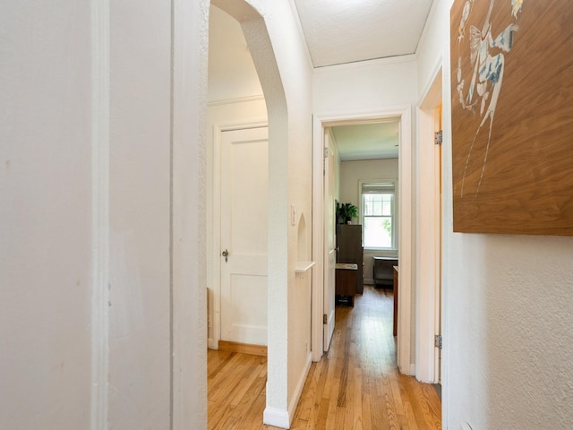 1655 NW Dr, Des Moines, IA 50310 - hall featuring light wood-style floors, ornamental molding, and arched walkways