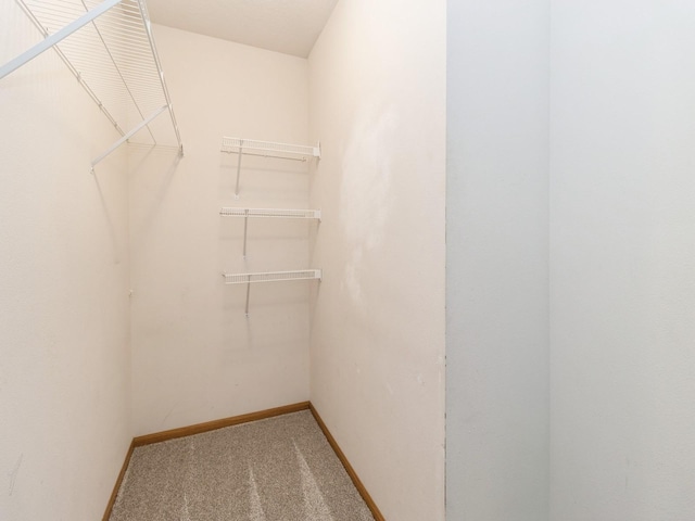 5805 Sterling Trce, Des Moines, IA 50320 - walk in closet featuring carpet flooring