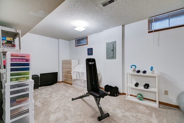 1116 42nd St, West Des Moines, IA 50266 - workout room featuring electric panel, carpet floors, and a textured ceiling