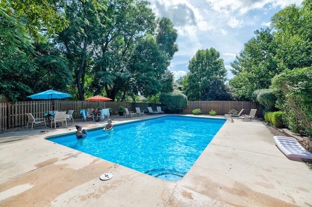 1116 42nd St, West Des Moines, IA 50266 - view of swimming pool with a patio area, a fenced backyard, and view of scattered trees