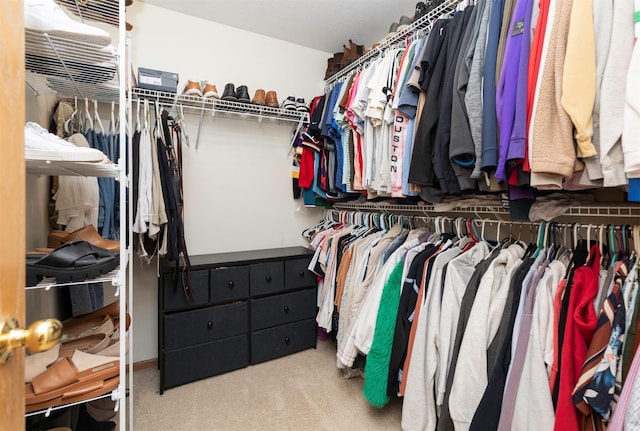 14449 Briarwood Ln, Urbandale, IA 50323 - walk in closet featuring carpet flooring