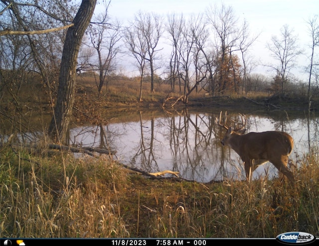 0000 63rd Hwy, Bloomfield, IA 52537