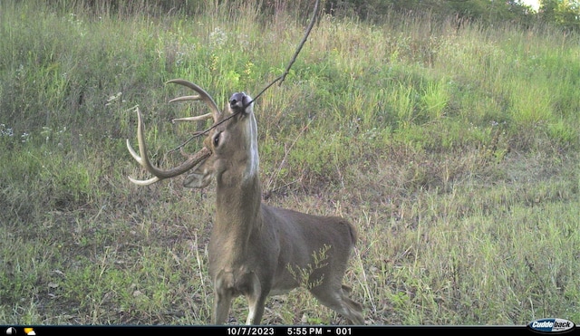 0000 63rd Hwy, Bloomfield, IA 52537