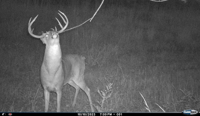 0000 63rd Hwy, Bloomfield, IA 52537