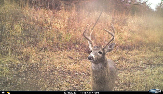 0000 63rd Hwy, Bloomfield, IA 52537