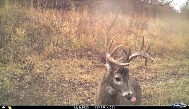 0000 63rd Hwy, Bloomfield, IA 52537