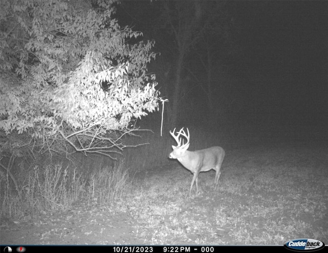 0000 63rd Hwy, Bloomfield, IA 52537