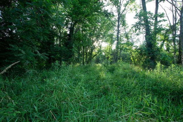0000 63rd Hwy, Bloomfield, IA 52537