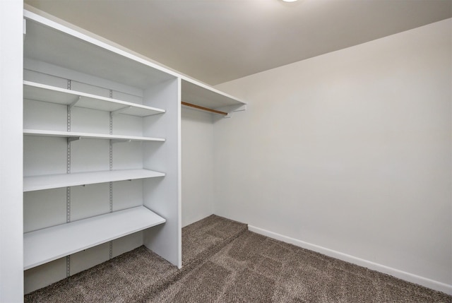 816 Boyd St, Des Moines, IA 50316 - walk in closet with dark colored carpet