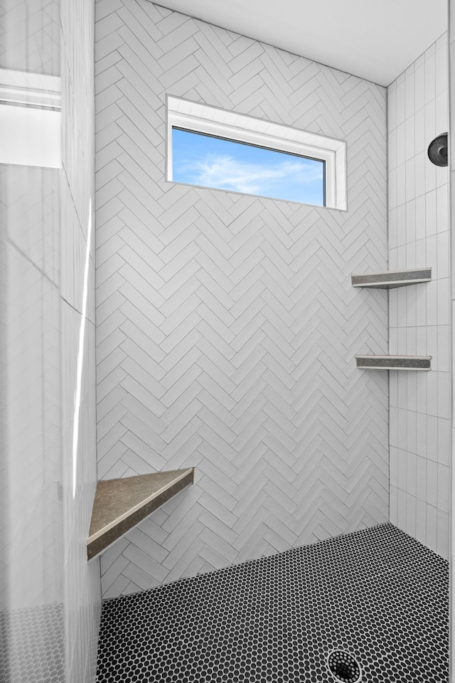 2309 NW 29th St, Ankeny, IA 50023 - full bath with a tile shower