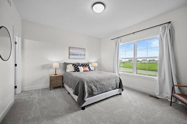 2309 NW 29th St, Ankeny, IA 50023 - bedroom with carpet
