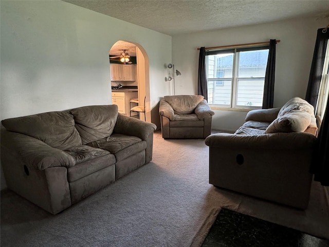 3419 E 37th St, Des Moines, IA 50317 - carpeted living room with a textured ceiling and arched walkways